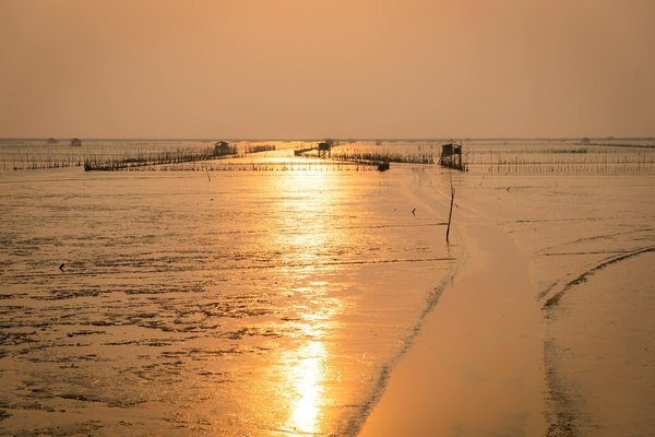 Toulouze Et Rastignac