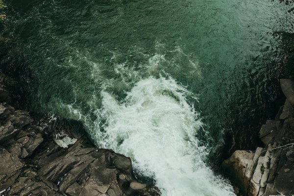 Une excursion nature : bons plans pour les amoureux de la faune et de la flore